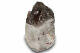 Natural, Dark Smoky Quartz Crystal - Colorado #244511-1